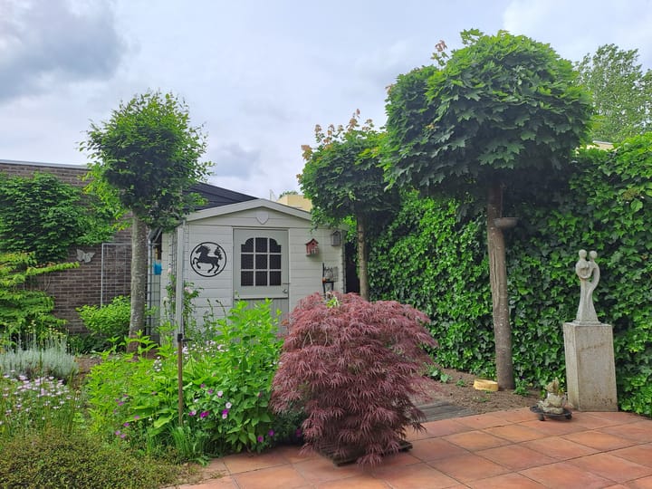 Foto 39 van Ermelinkstuk 7