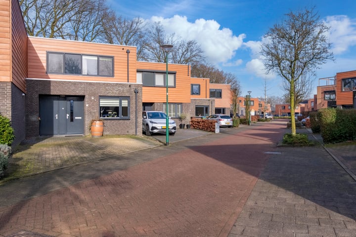 Bekijk foto van Satijnzwam 7