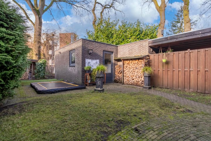 Foto 3 van Satijnzwam 7