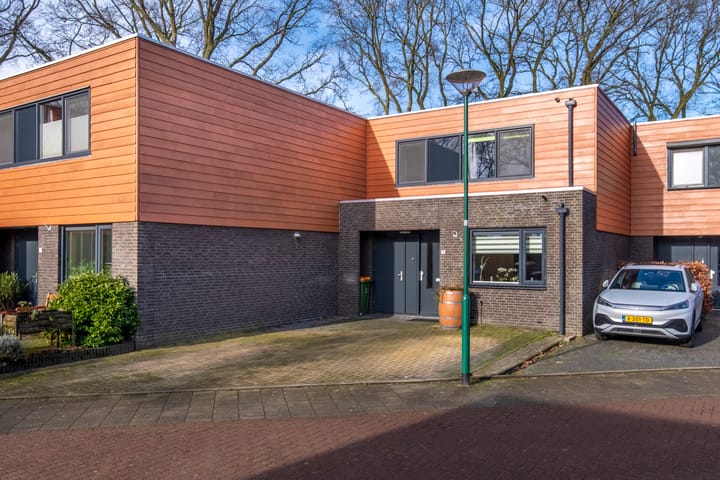 Foto 4 van Satijnzwam 7