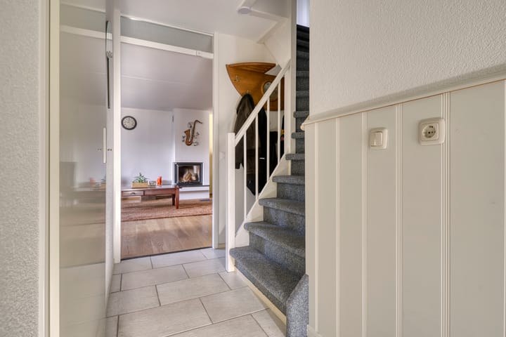 Foto 5 van Satijnzwam 7