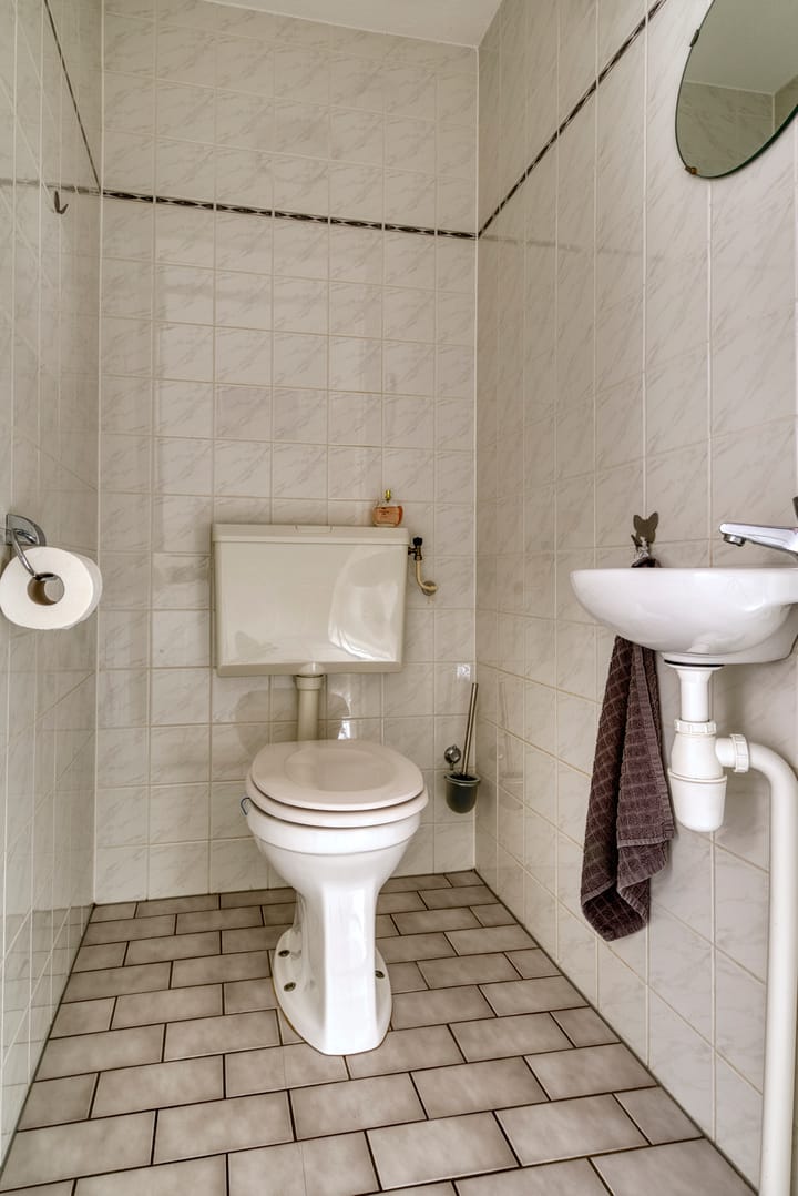 Foto 15 van Satijnzwam 7