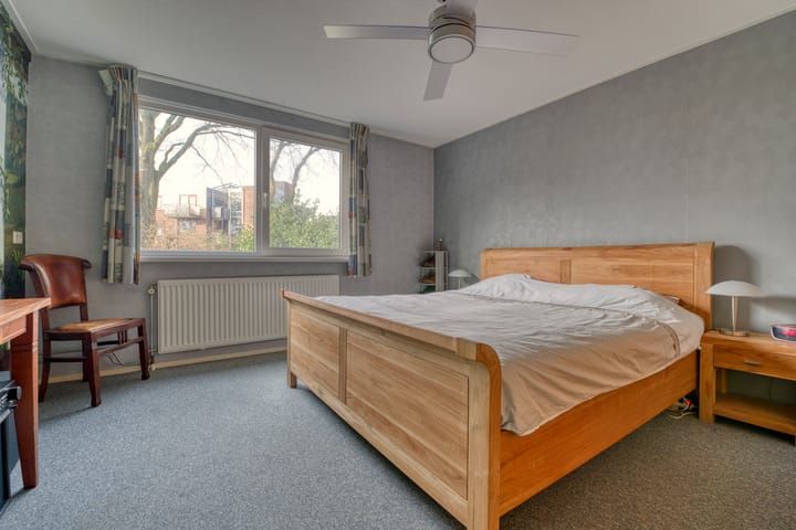 Foto 17 van Satijnzwam 7