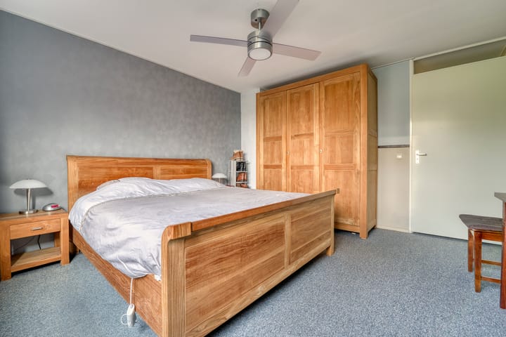 Foto 18 van Satijnzwam 7