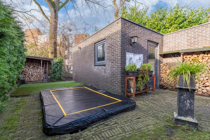 Foto 31 van Satijnzwam 7