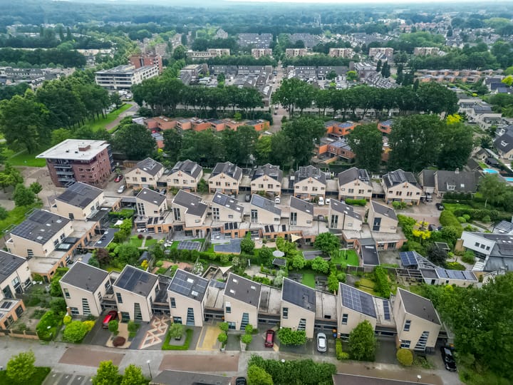 Foto 33 van Satijnzwam 7