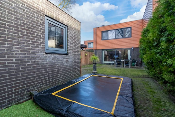 Foto 32 van Satijnzwam 7