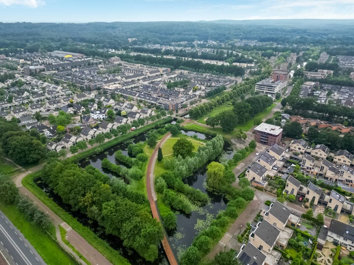 Foto 2 van Satijnzwam 7