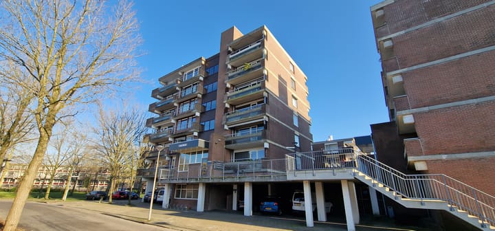 Foto 4 van Poolster 246