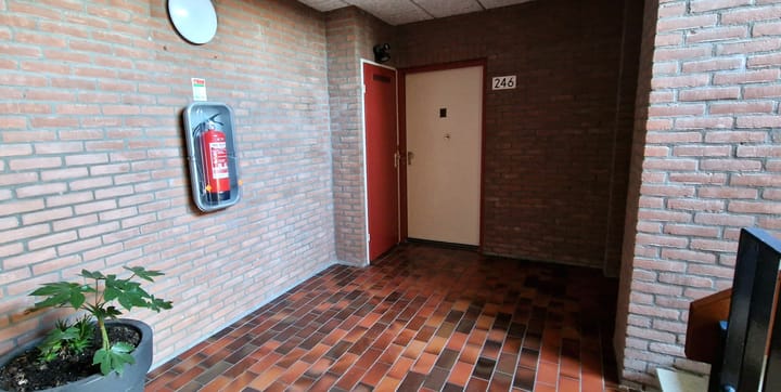 Foto 6 van Poolster 246