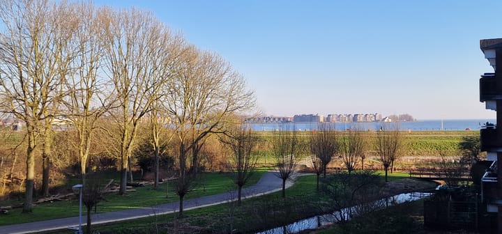 Foto 16 van Poolster 246