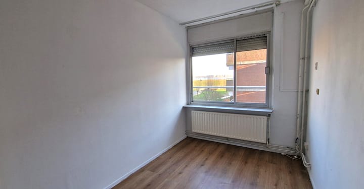 Foto 18 van Poolster 246