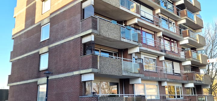 Foto 24 van Poolster 246