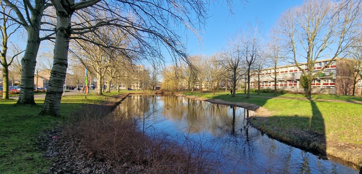 Foto 25 van Poolster 246