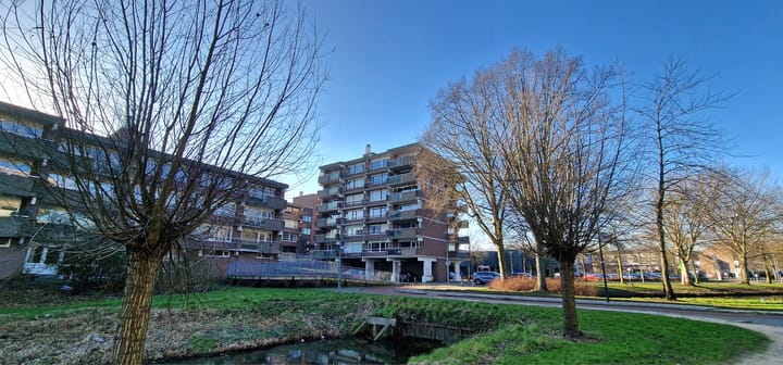 Foto 26 van Poolster 246