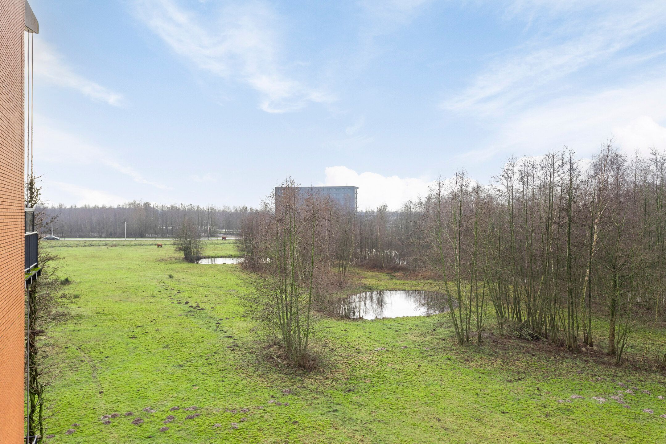 Foto 42 van Bijsterveldenlaan 389