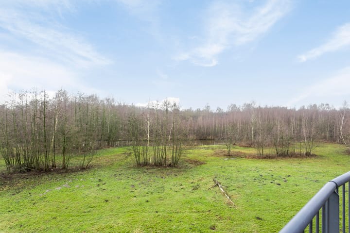 Photo 43 of Bijsterveldenlaan 389