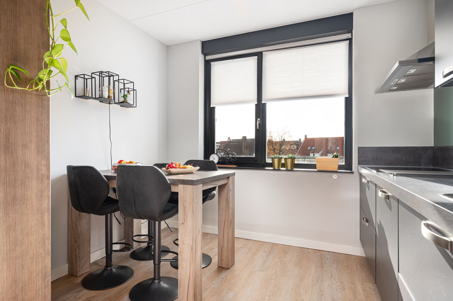 Foto 14 van Vicaris van Alphenstraat 7-C