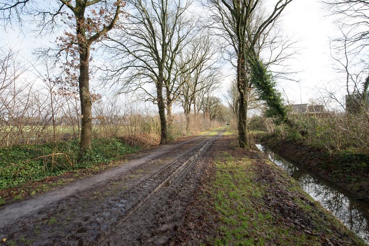 Foto 48 van De Hoorns 24