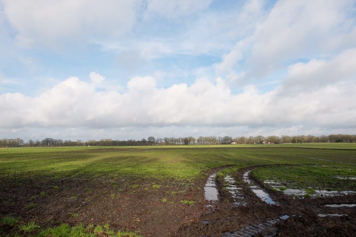 Foto 49 van De Hoorns 24