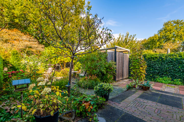 Foto 25 van Tesselschadelaan 29