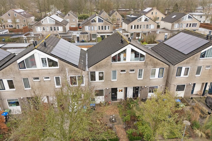 Foto 5 van Parelmoervlinder 9