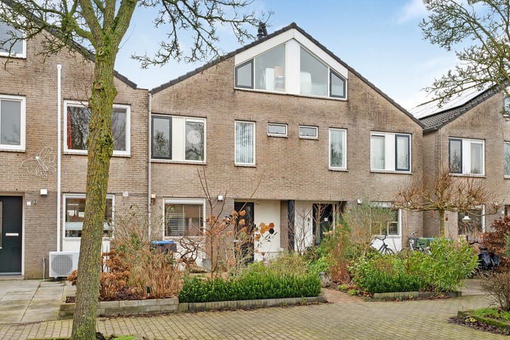 Foto 6 van Parelmoervlinder 9