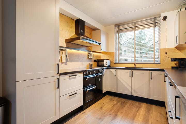 Foto 15 van Parelmoervlinder 9