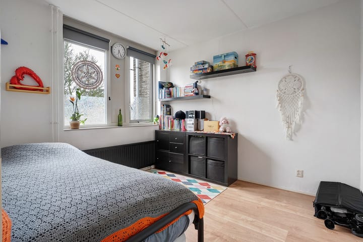 Foto 24 van Parelmoervlinder 9