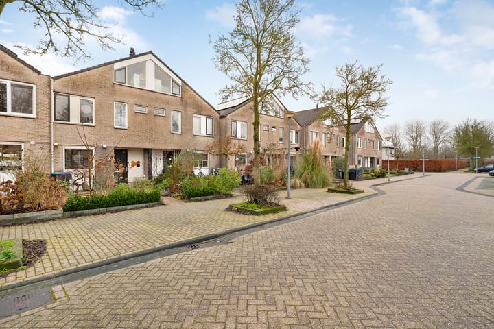 Foto 38 van Parelmoervlinder 9