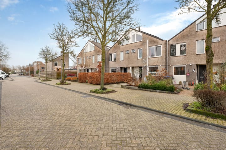 Foto 39 van Parelmoervlinder 9