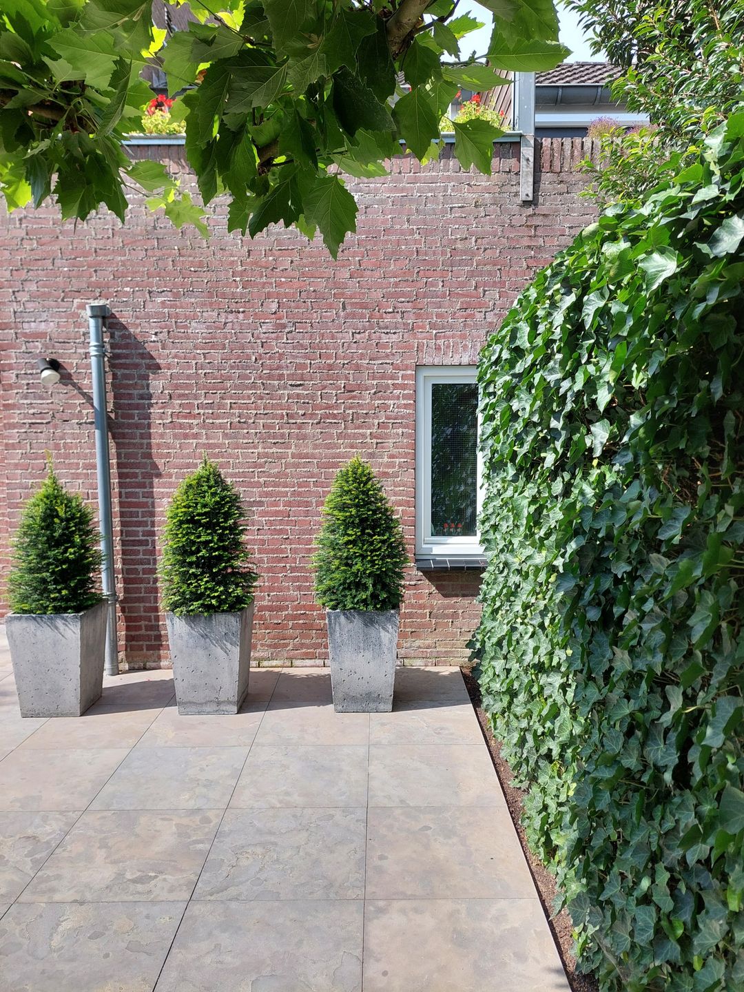 Foto 46 van Schepenbank 11