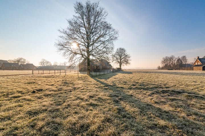 Foto 26 van Schoterlandseweg 83