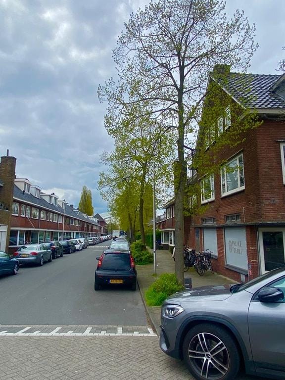 Foto 20 van Wethouder D.M. Plompstraat 50-BS