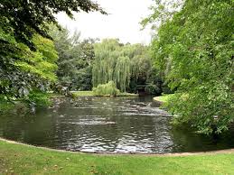 Foto 40 van Pater Ruttenstraat 9