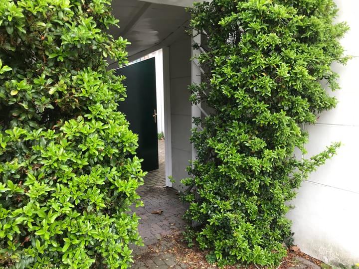 Photo 17 of Javastraat 9