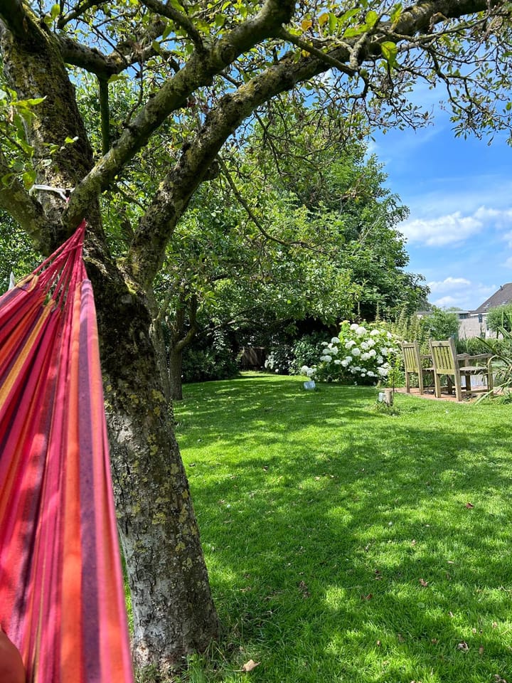 Foto 49 van Hoofdstraat 74