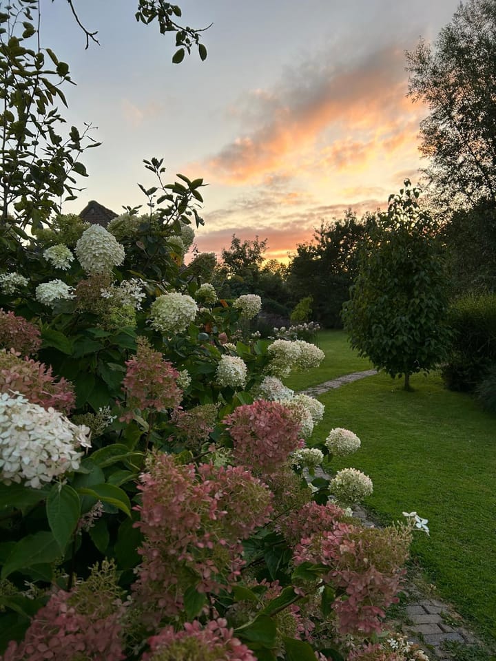 Foto 55 van Hoofdstraat 74