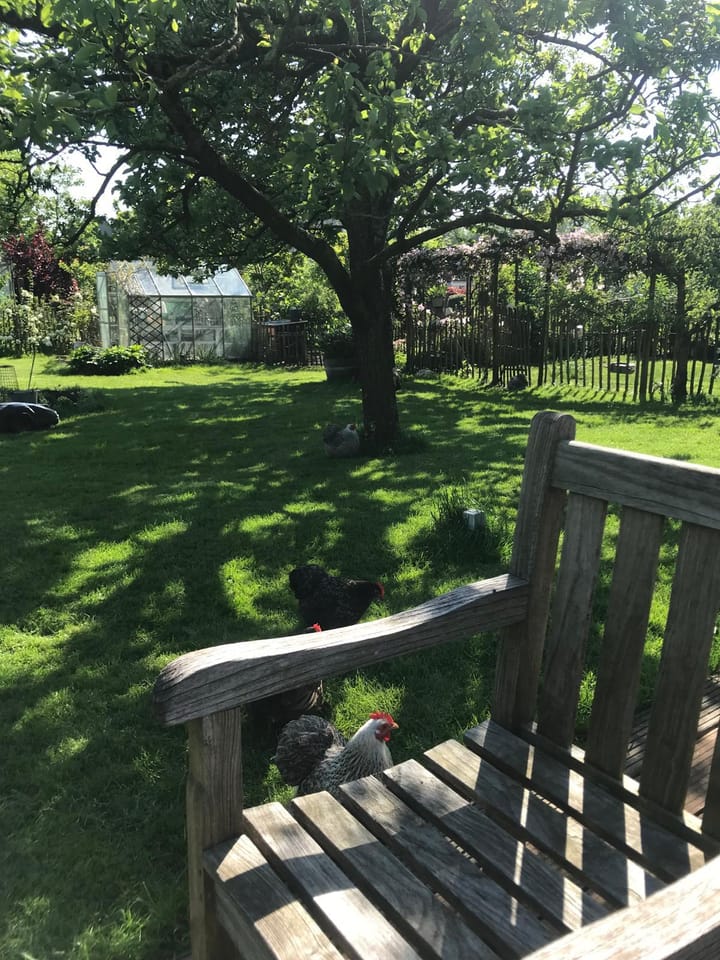 Foto 56 van Hoofdstraat 74