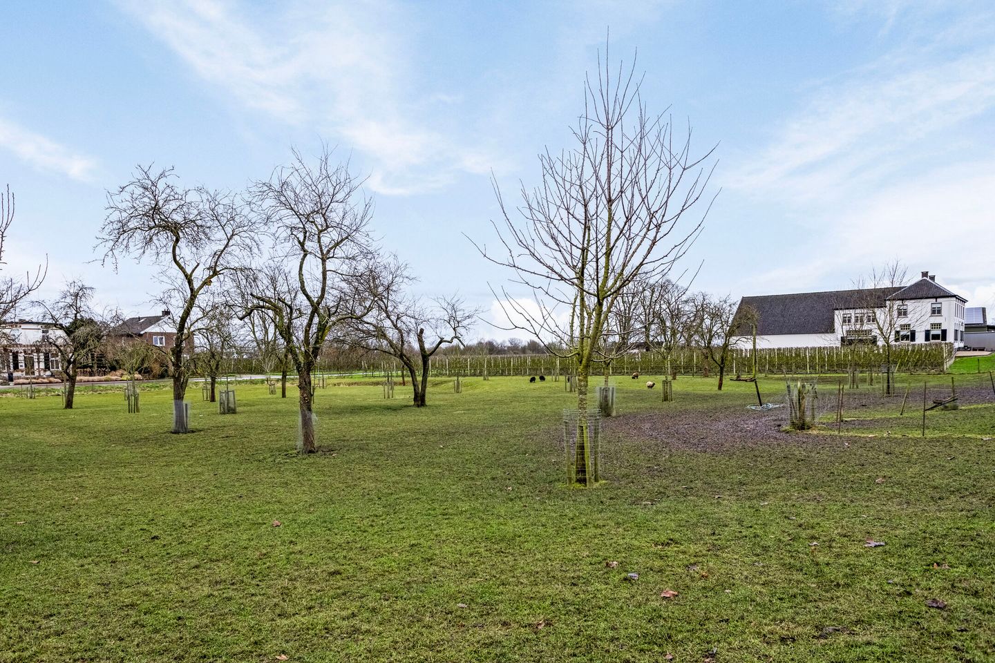 Foto 49 van Kerkstraat 7