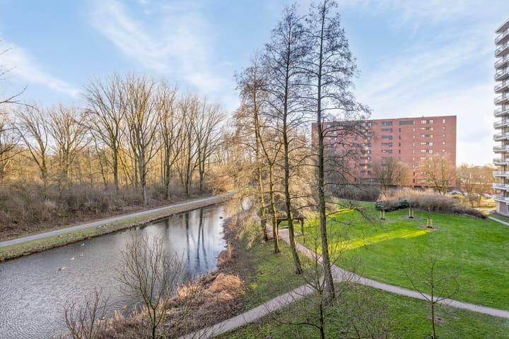 Foto 11 van Groningensingel 593