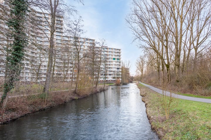 Foto 30 van Groningensingel 593