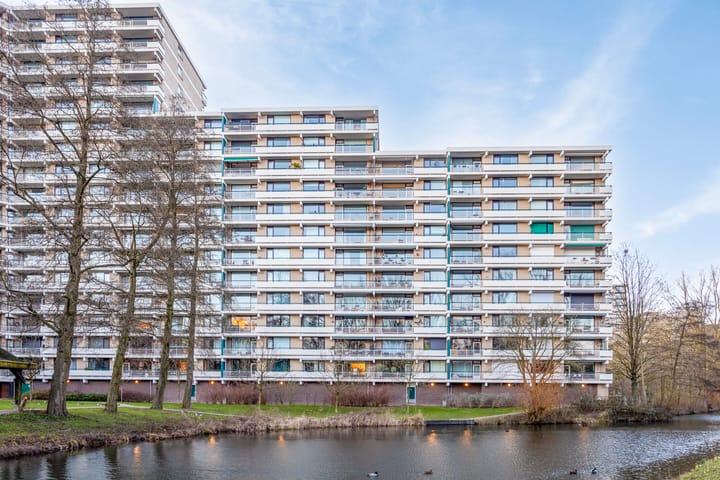 Foto 31 van Groningensingel 593