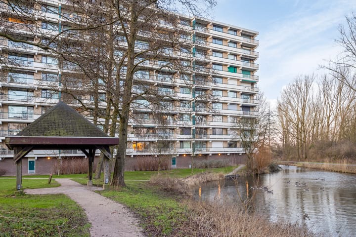 Foto 32 van Groningensingel 593