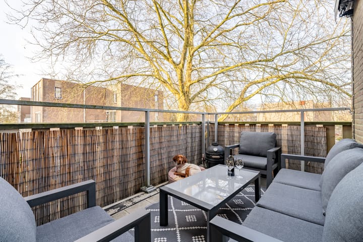 Foto 25 van Pierre Kemphove 7