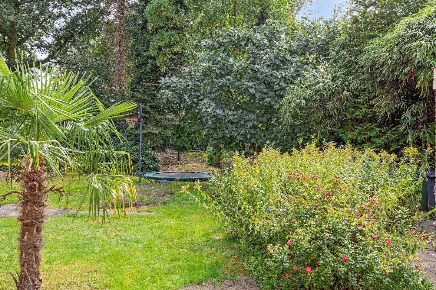 Foto 49 van Castor 1