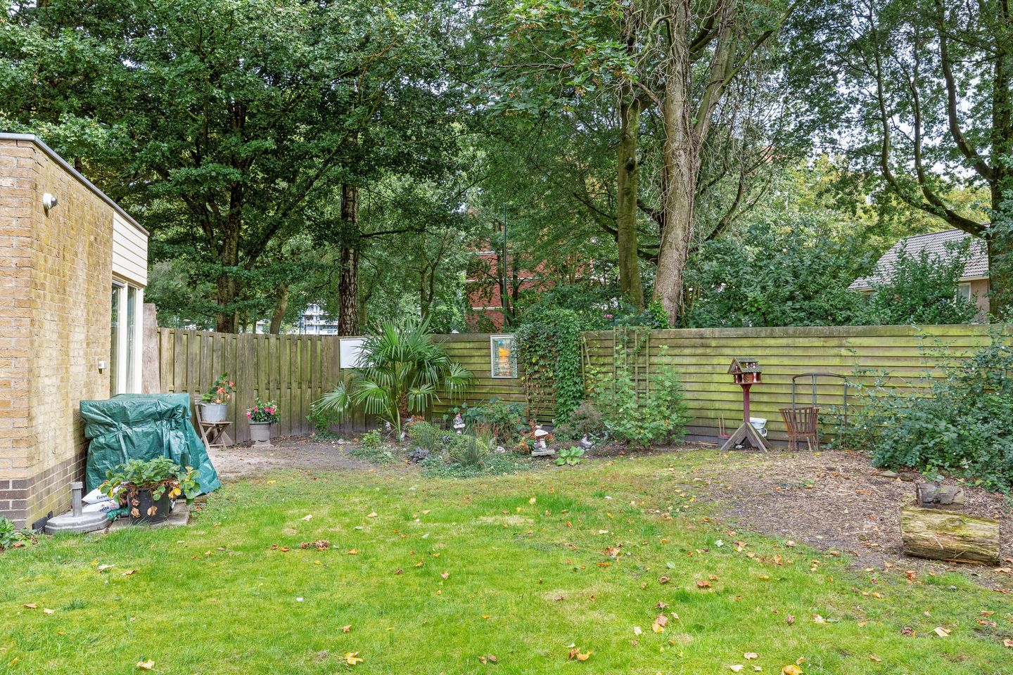 Foto 50 van Castor 1