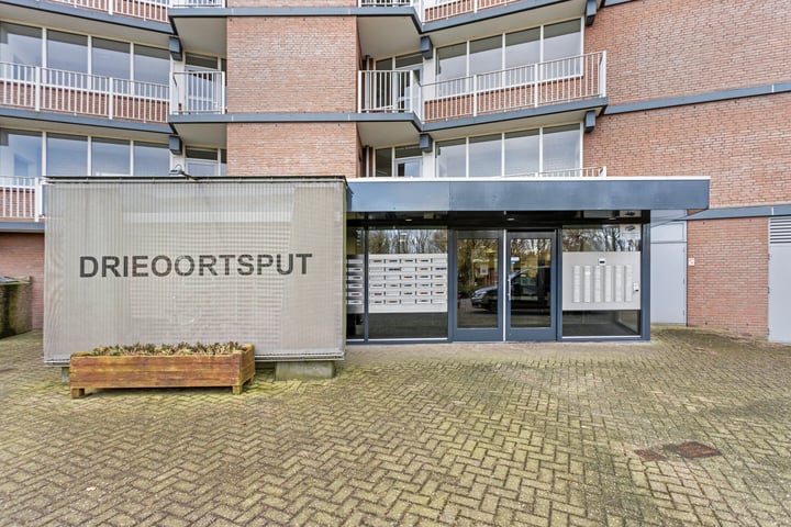 Bekijk foto 2 van Drieoortsput 22