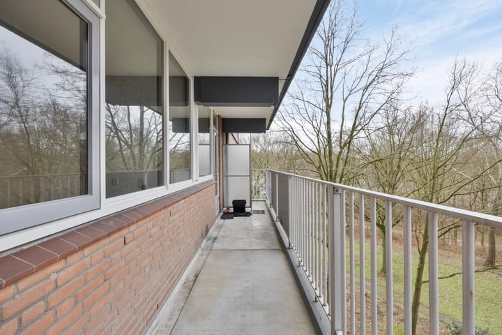 Foto 11 van Drieoortsput 22