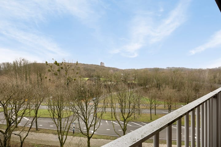 Foto 18 van Drieoortsput 43